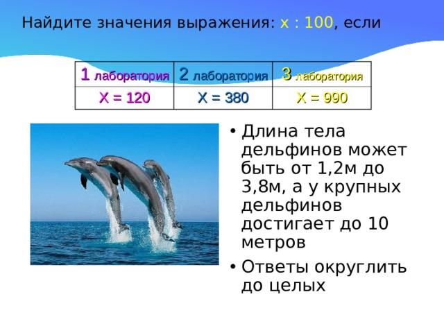 Найдите значения выражения: х : 100 , если   1  лаборатория 2 лаборатория Х = 120 3 лаборатория Х = 380 Х = 990 Длина тела дельфинов может быть от 1,2м до 3,8м, а у крупных дельфинов достигает до 10 метров Ответы округлить до целых 
