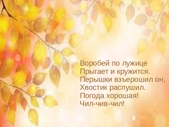  Воробей по лужице  Прыгает и кружится.  Перышки взъерошил он,  Хвостик распушил.  Погода хорошая!  Чил-чив-чил! 
