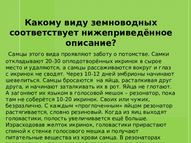 Какому виду земноводных соответствует нижеприведённое описание?  Самцы этого вида проявляют заботу о потомстве. Самки откладывают 20-30 оплодотворённых икринок в сырое место и удаляются, а самцы рассаживаются вокруг и глаз с икринок не сводят. Через 10-12 дней эмбрионы начинают шевелиться. Самцы бросаются на яйца, расталкивая друг друга, и начинают заталкивать их в рот. Яйца не глотают. А загоняют их языком в голосовой мешок – резонатор, пока там не соберётся 10-20 икринок. Своих или чужих, безразлично. С каждым «проглоченным» яйцом резонатор растягивается, словно резиновый. Когда из яиц выходят головастики, полость увеличивается ещё больше. Израсходовав желток икринок, головастики прирастают спиной к стенке голосового мешка и получают питательные вещества из крови самца. В резонаторах головастики и проходят этап превращения в лягушонка. 