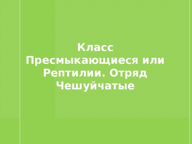 Класс Пресмыкающиеся или Рептилии. Отряд Чешуйчатые 