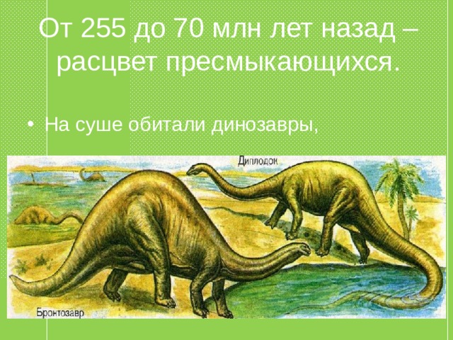 От 255 до 70 млн лет назад – расцвет пресмыкающихся.  На суше обитали динозавры,  
