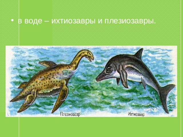 в воде – ихтиозавры и плезиозавры. 