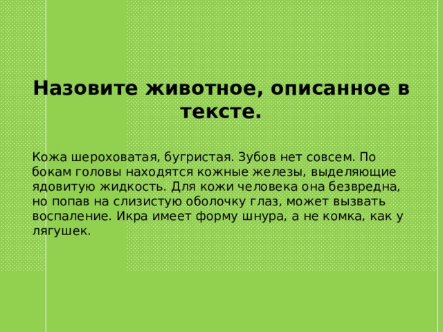 Назовите животное, описанное в тексте. Кожа шероховатая, бугристая. Зубов нет совсем. По бокам головы находятся кожные железы, выделяющие ядовитую жидкость. Для кожи человека она безвредна, но попав на слизистую оболочку глаз, может вызвать воспаление. Икра имеет форму шнура, а не комка, как у лягушек. 