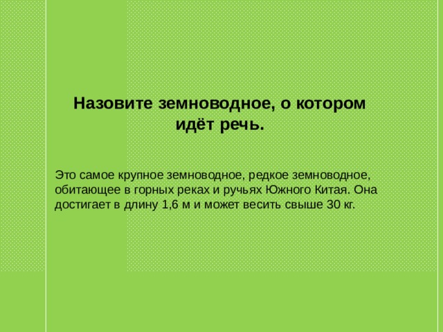 Назовите земноводное, о котором идёт речь. Это самое крупное земноводное, редкое земноводное, обитающее в горных реках и ручьях Южного Китая. Она достигает в длину 1,6 м и может весить свыше 30 кг.  