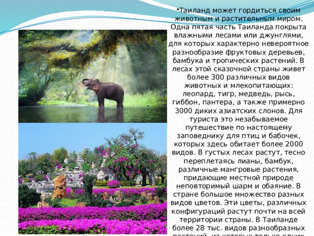 Таиланд может гордиться своим животным и растительным миром. Одна пятая часть Таиланда покрыта влажными лесами или джунглями, для которых характерно невероятное разнообразие фруктовых деревьев, бамбука и тропических растений. В лесах этой сказочной страны живет более 300 различных видов животных и млекопитающих: леопард, тигр, медведь, рысь, гиббон, пантера, а также примерно 3000 диких азиатских слонов. Для туриста это незабываемое путешествие по настоящему заповеднику для птиц и бабочек, которых здесь обитает более 2000 видов. В густых лесах растут, тесно переплетаясь лианы, бамбук, различные мангровые растения, придающие местной природе неповторимый шарм и обаяние. В стране большое множество разных видов цветов. Эти цветы, различных конфигураций растут почти на всей территории страны. В Таиланде более 28 тыс. видов разнообразных растений, из которых только одних орхидей более 1000. 
