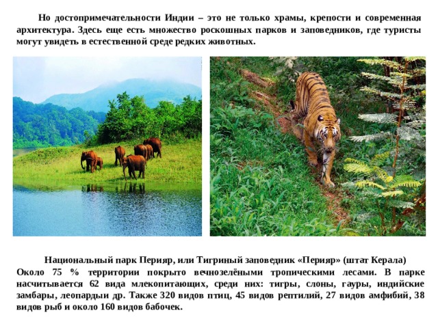  Но достопримечательности Индии – это не только храмы, крепости и современная архитектура. Здесь еще есть множество роскошных парков и заповедников, где туристы могут увидеть в естественной среде редких животных.   Национальный парк Перияр, или Тигриный заповедник «Перияр» (штат Керала) Около 75 % территории покрыто вечнозелёными тропическими лесами. В парке насчитывается 62 вида млекопитающих, среди них: тигры, слоны, гауры, индийские замбары, леопардыи др. Также 320 видов птиц, 45 видов рептилий, 27 видов амфибий, 38 видов рыб и около 160 видов бабочек. 