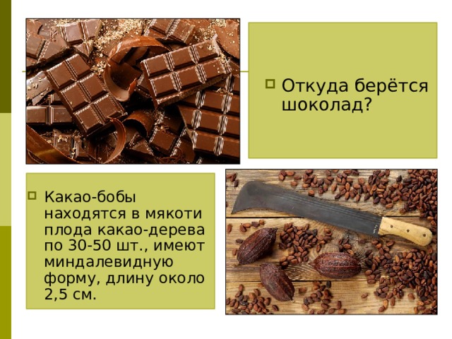 Откуда берётся шоколад? Какао-бобы находятся в мякоти плода какао-дерева по 30-50 шт., имеют миндалевидную форму, длину около 2,5 см. 