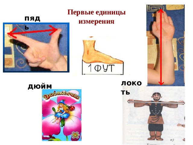  Сажень Первые единицы измерения пядь локоть дюйм 