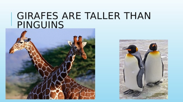 GIRAFES ARE TALLER THAN PINGUINS 