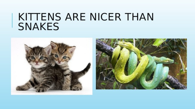 Kittens are nicer than snakes 