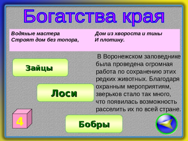 Водяные мастера   Дом из хвороста и тины Строят дом без топора, И плотину.  В Воронежском заповеднике была проведена огромная работа по сохранению этих редких животных. Благодаря охранным мероприятиям, зверьков стало так много, что появилась возможность расселить их по всей стране. Зайцы Лоси 4 Бобры 