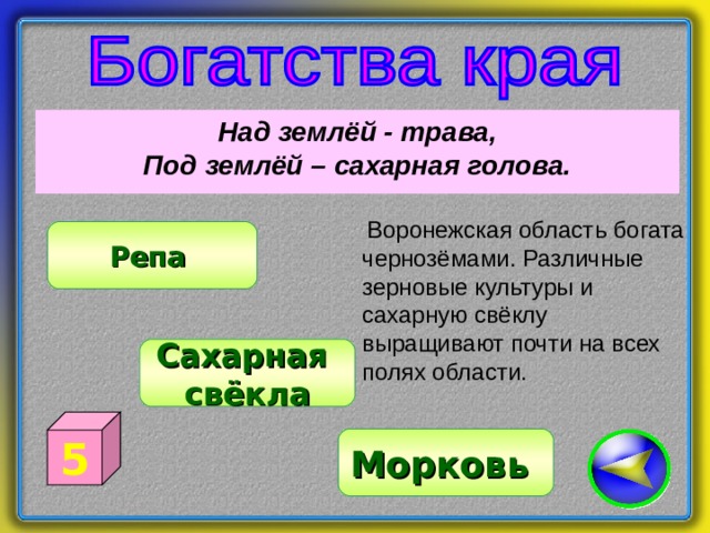 Над землёй - трава, Под землёй – сахарная голова. Воронежская область богата чернозёмами. Различные зерновые культуры и сахарную свёклу выращивают почти на всех полях области. Репа Сахарная свёкла 5 Морковь 