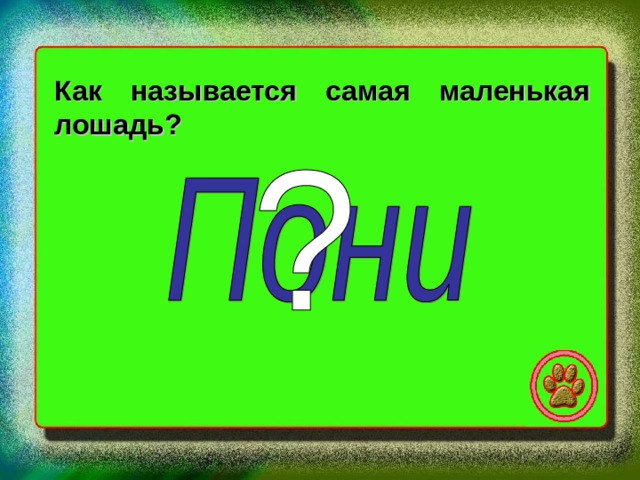 Как называется самая маленькая лошадь? 