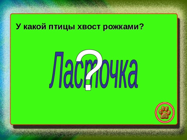 У какой птицы хвост рожками? 