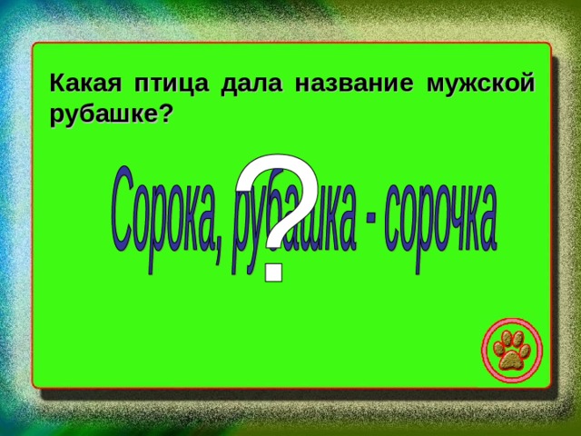 Какая птица дала название мужской рубашке? 