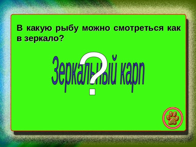 В какую рыбу можно смотреться как в зеркало? 