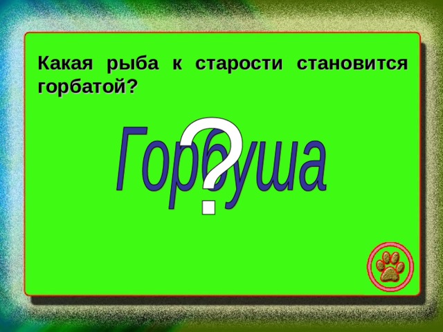 Какая рыба к старости становится горбатой? 