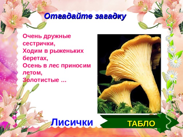Отгадайте загадку Очень дружные сестрички, Ходим в рыженьких беретах, Осень в лес приносим летом, Золотистые … ТАБЛО Лисички  