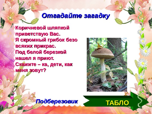 Отгадайте загадку Коричневой шляпкой приветствую Вас. Я скромный грибок безо всяких прикрас. Под белой березкой нашел я приют. Скажите – ка, дети, как меня зовут? ТАБЛО Подберезовик   