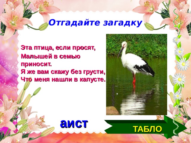 Отгадайте загадку Эта птица, если просят,  Малышей в семью приносит. Я же вам скажу без грусти, Что меня нашли в капусте.   аист ТАБЛО  