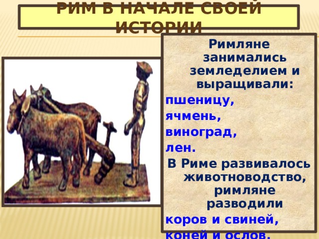 Рим в начале своей истории Римляне занимались земледелием и выращивали: пшеницу, ячмень, виноград, лен. В Риме развивалось животноводство, римляне разводили коров и свиней, коней и ослов. 