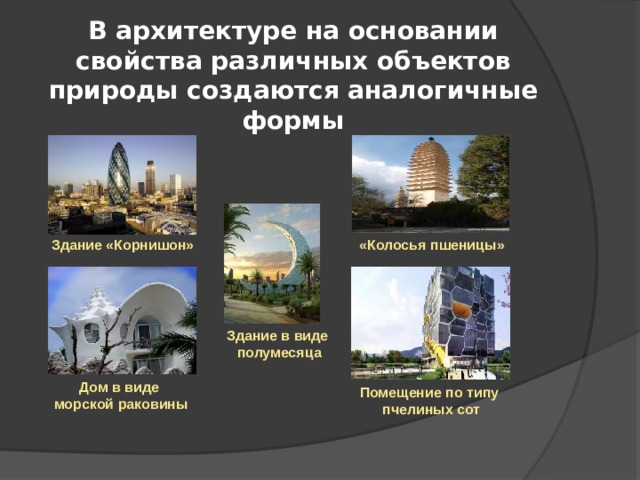  В архитектуре на основании свойства различных объектов природы создаются аналогичные формы Здание «Корнишон» «Колосья пшеницы» Здание в виде полумесяца Дом в виде морской раковины Помещение по типу пчелиных сот 