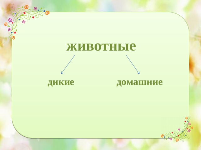 животные дикие домашние 