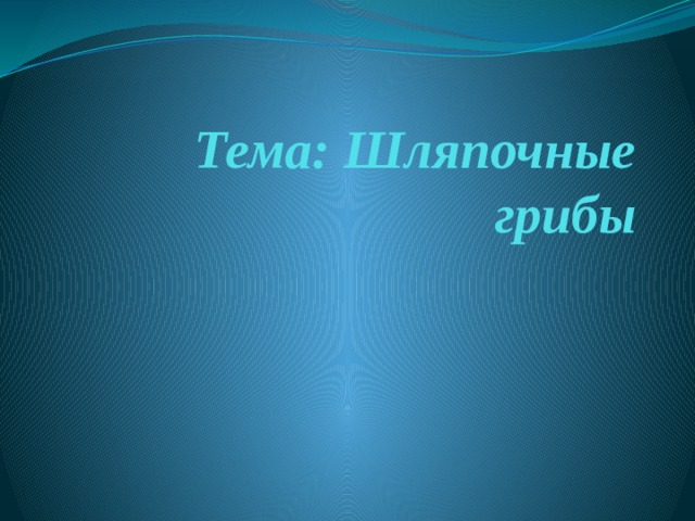Тема: Шляпочные грибы 