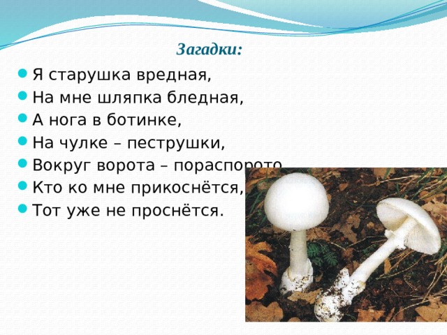 Загадки:   Я старушка вредная, На мне шляпка бледная, А нога в ботинке, На чулке – пеструшки, Вокруг ворота – пораспорото Кто ко мне прикоснётся, Тот уже не проснётся. 