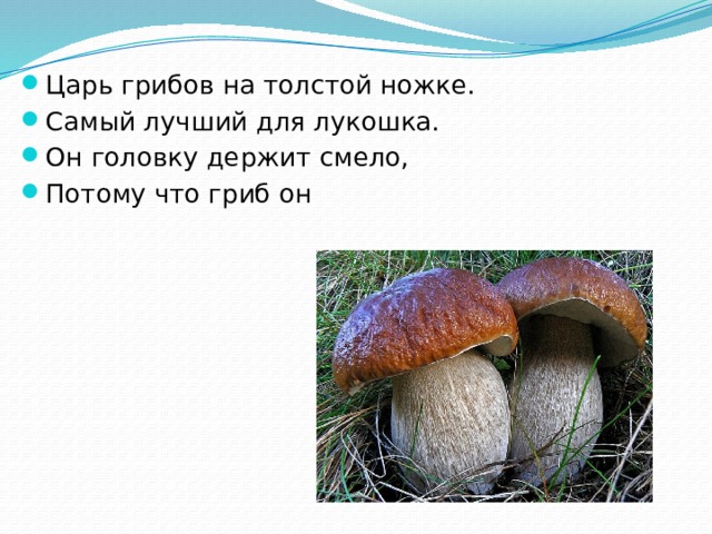 Царь грибов на толстой ножке. Самый лучший для лукошка. Он головку держит смело, Потому что гриб он 