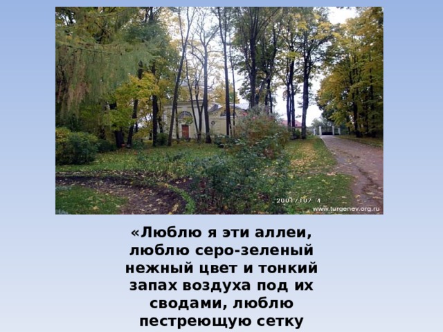 «Люблю я эти аллеи, люблю серо-зеленый нежный цвет и тонкий запах воздуха под их сводами, люблю пестреющую сетку светлых кружков по темной земле…»