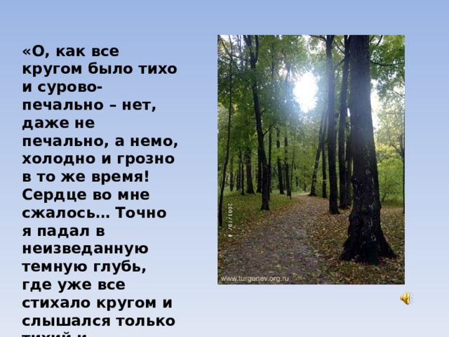 «О, как все кругом было тихо и сурово-печально – нет, даже не печально, а немо, холодно и грозно в то же время! Сердце во мне сжалось… Точно я падал в неизведанную темную глубь, где уже все стихало кругом и слышался только тихий и непрестанный стон какой-то вечной скорби».