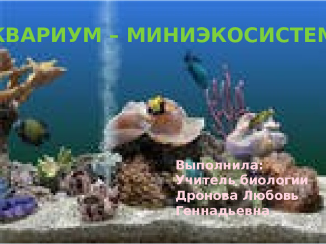 АКВАРИУМ – миниэкосистема Выполнила: Учитель биологии Дронова Любовь Геннадьевна 
