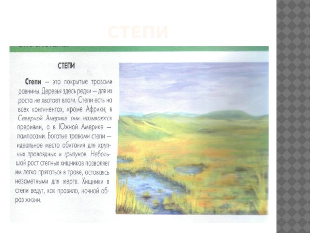 степи 