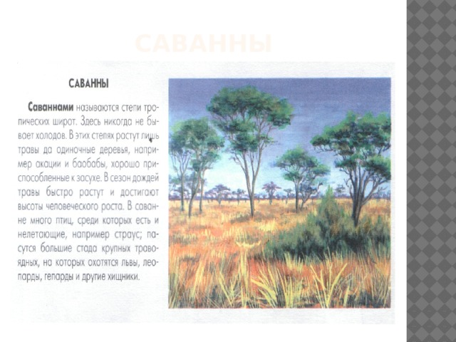 саванны 