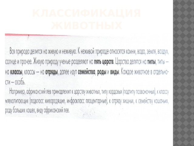 Классификация животных 