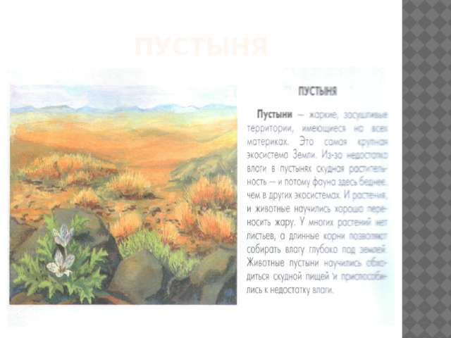 пустыня 