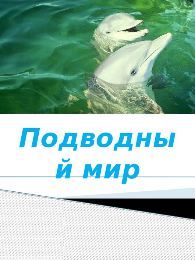 Подводный мир 