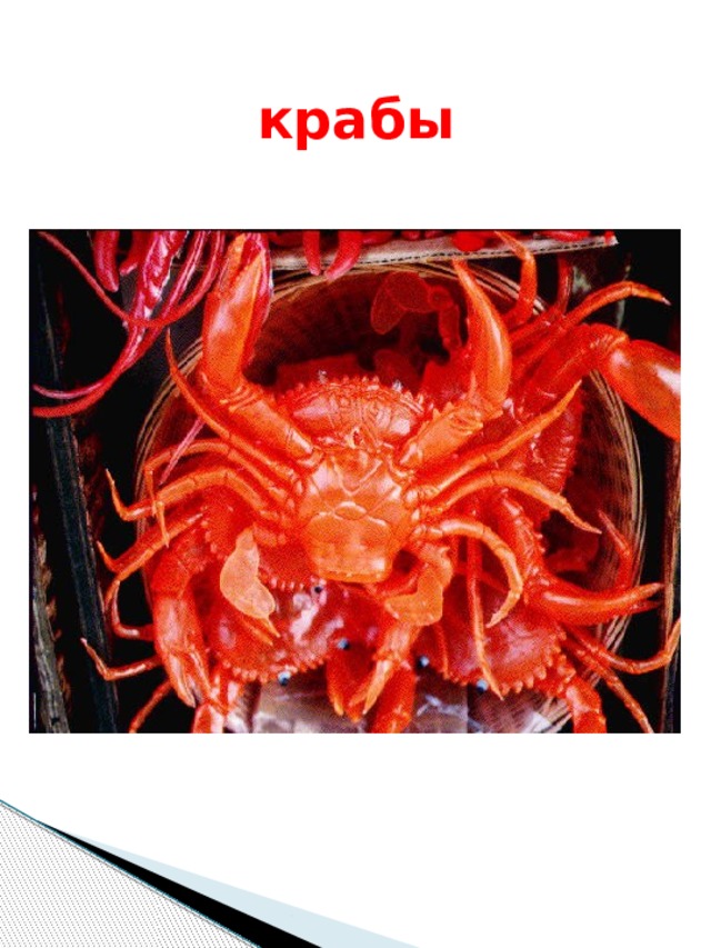 крабы 