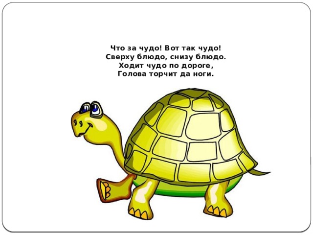 Что за чудо! Вот так чудо!  Сверху блюдо, снизу блюдо.  Ходит чудо по дороге,  Голова торчит да ноги. 