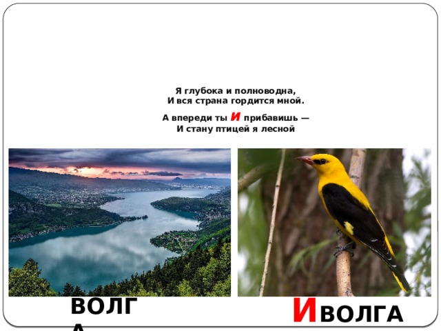 Я глубока и полноводна,  И вся страна гордится мной.  А впереди ты и  прибавишь —  И стану птицей я лесной И ВОЛГА ВОЛГА 