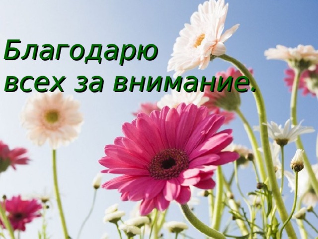 Благодарю  всех за внимание. 