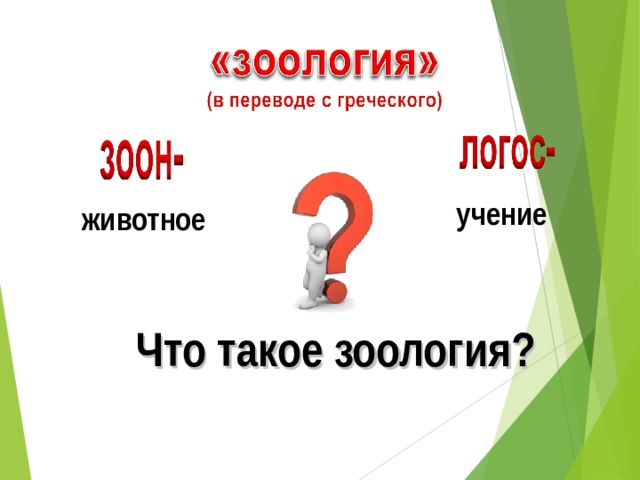животное учение Что такое зоология? 
