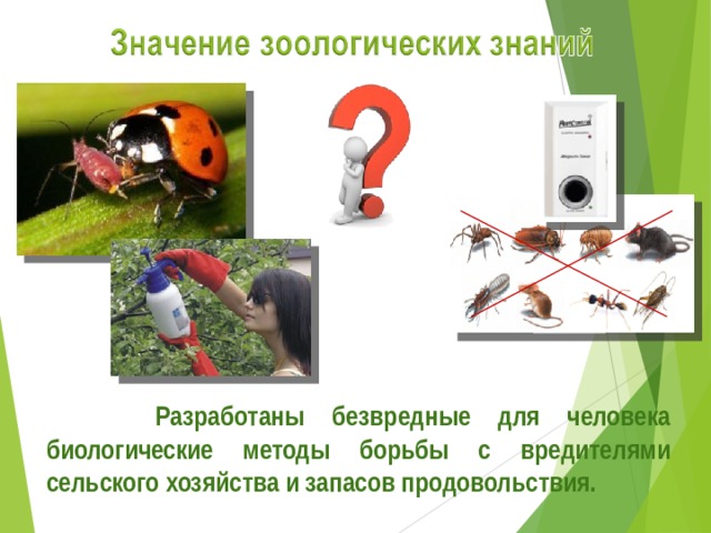 Разработаны безвредные для человека биологические методы борьбы с вредителями сельского хозяйства и запасов продовольствия. 