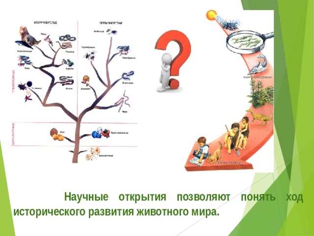  Научные открытия позволяют понять ход исторического развития животного мира. 