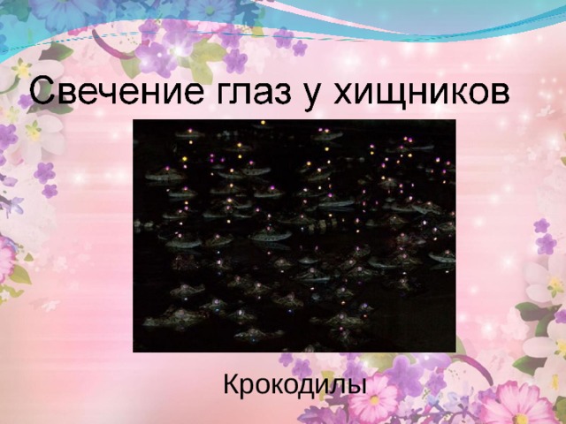 Крокодилы 