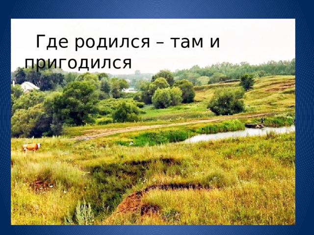  Где родился – там и пригодился 