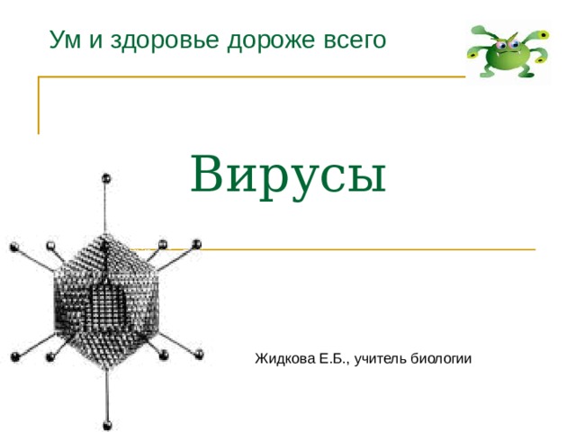 Ум и здоровье дороже всего   Вирусы   