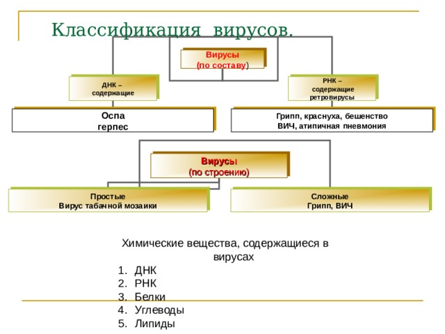 Классификация вирусов. Вирусы (по составу ) ДНК – содержащие РНК –  содержащие ретровирусы Оспа герпес Грипп, краснуха, бешенство ВИЧ, атипичная пневмония Вирусы (по строению) Простые Вирус табачной мозаики Сложные Грипп, ВИЧ 