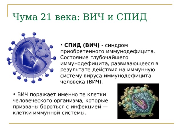 Чума 21 века: ВИЧ и СПИД   СПИД (ВИЧ) - синдром приобретенного иммунодефицита. Состояние глубочайшего иммунодефицита, развивающееся в результате действия на иммунную систему вируса иммунодефицита человека (ВИЧ).  ВИЧ поражает именно те клетки человеческого организма, которые призваны бороться с инфекцией — клетки иммунной системы. 